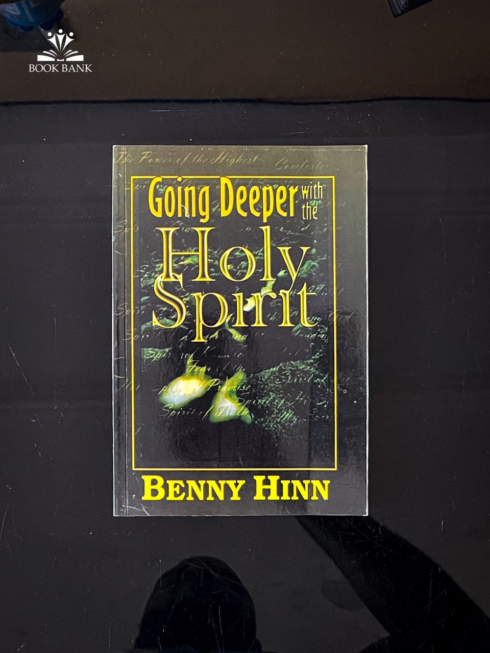 Going Deeper with the Holy Spirit Book Cover by Benny Hinn