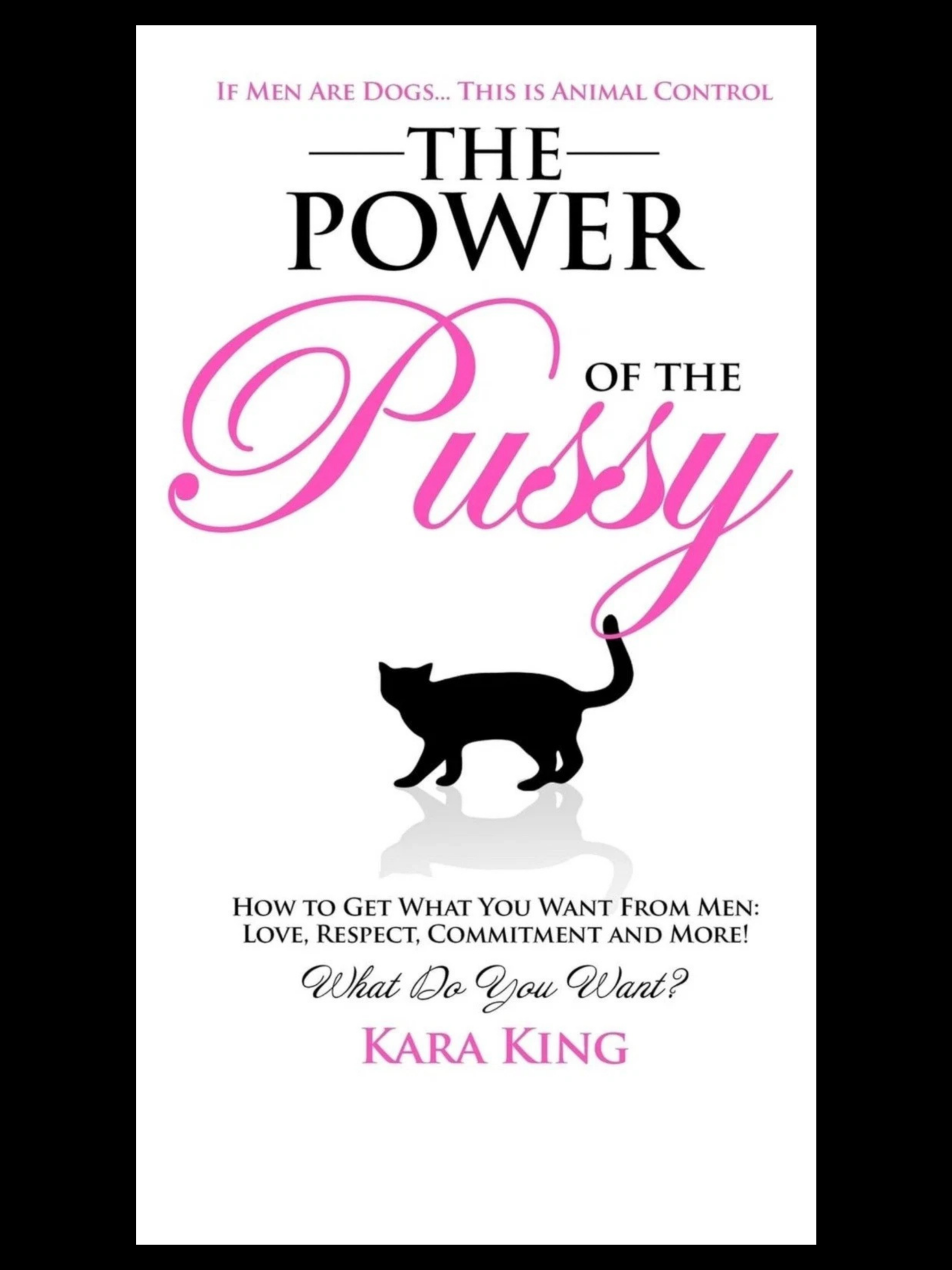 The Power Of The Pussy by Kara King book cover personal empowerment and productivity