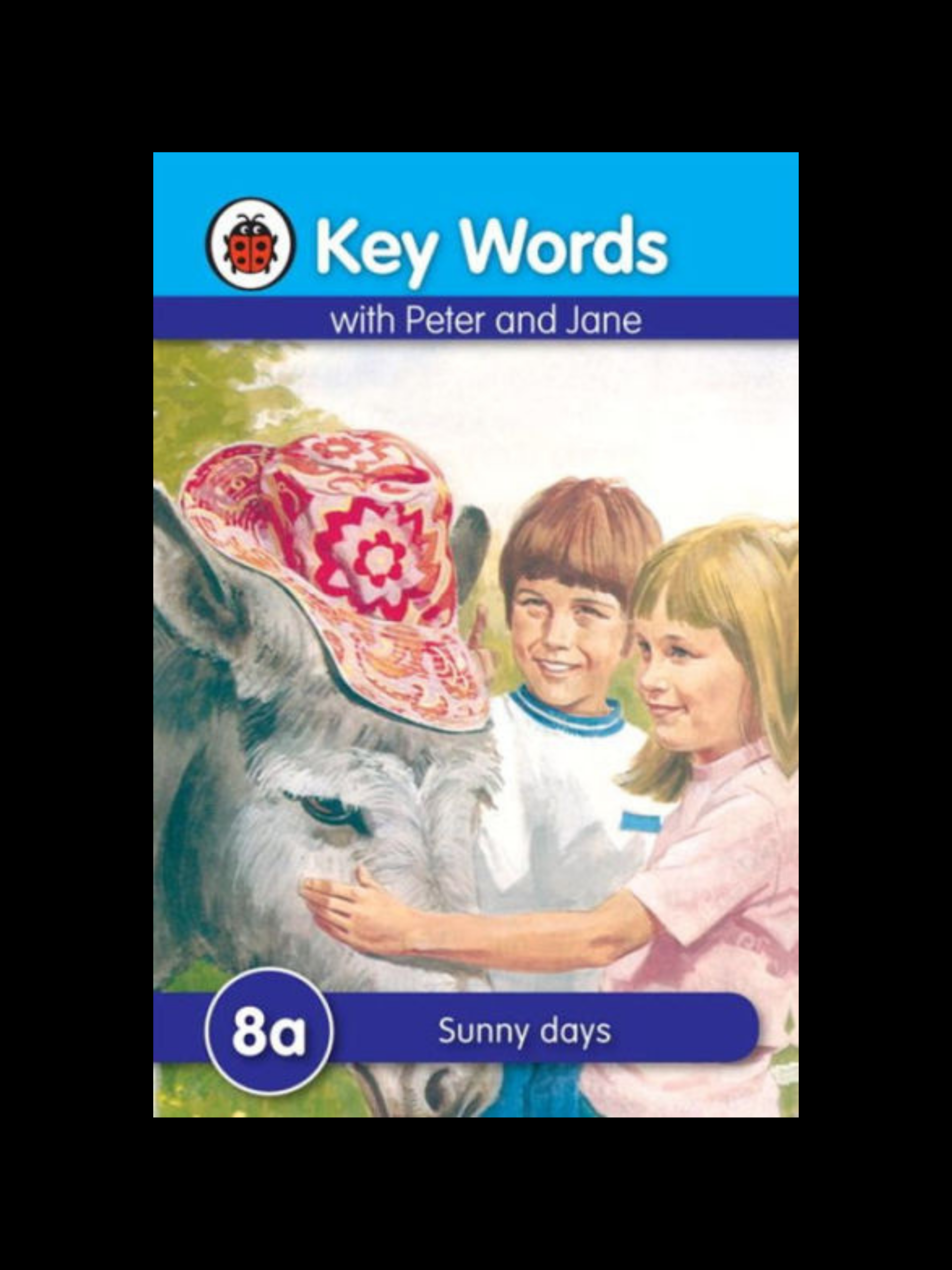Sunny Days book cover for kids and teenagers