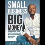 Small Business Big Money by Akin Alabi book cover entrepreneurship guide