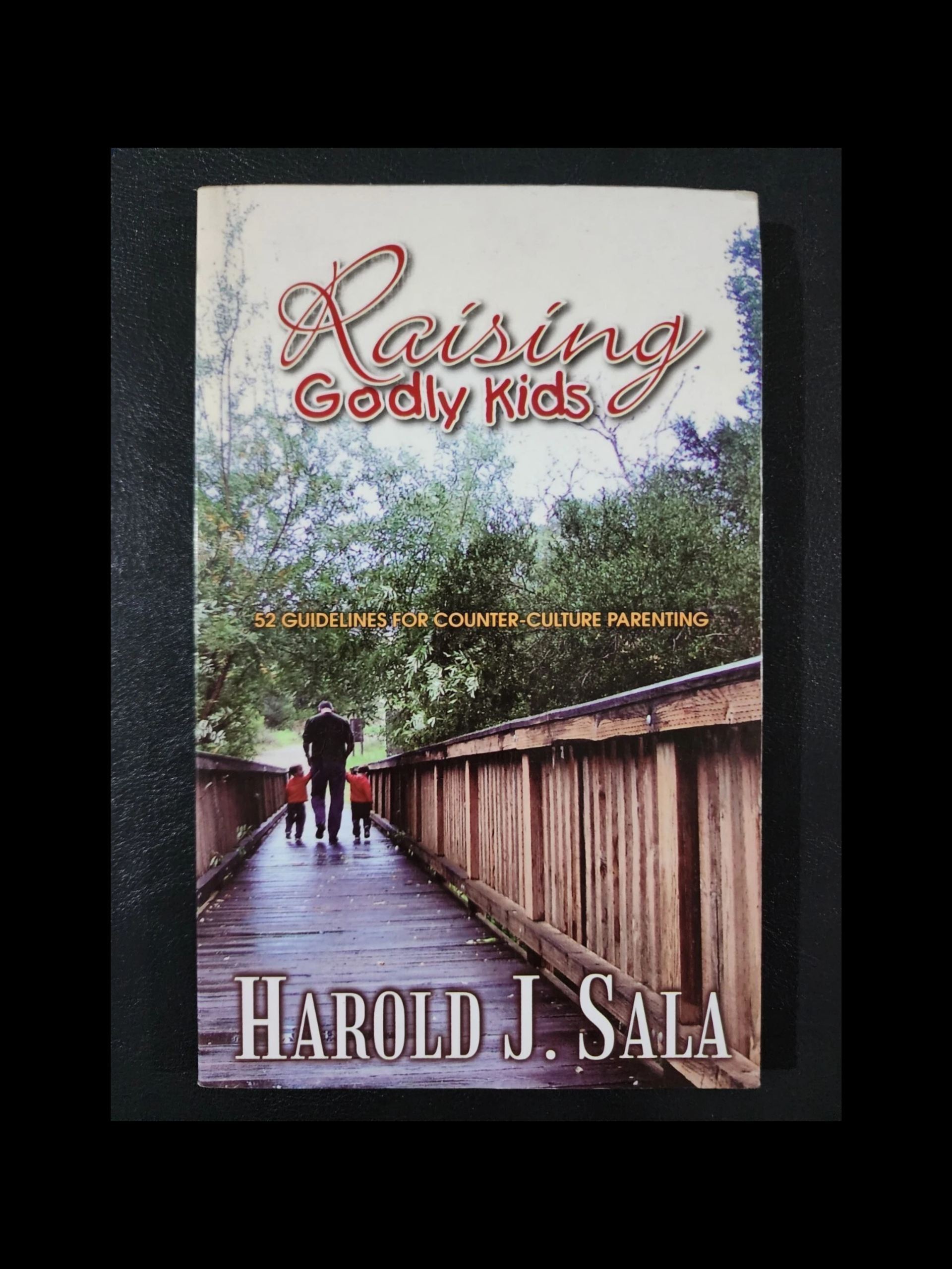 Raising Godly Kids parenting book for families