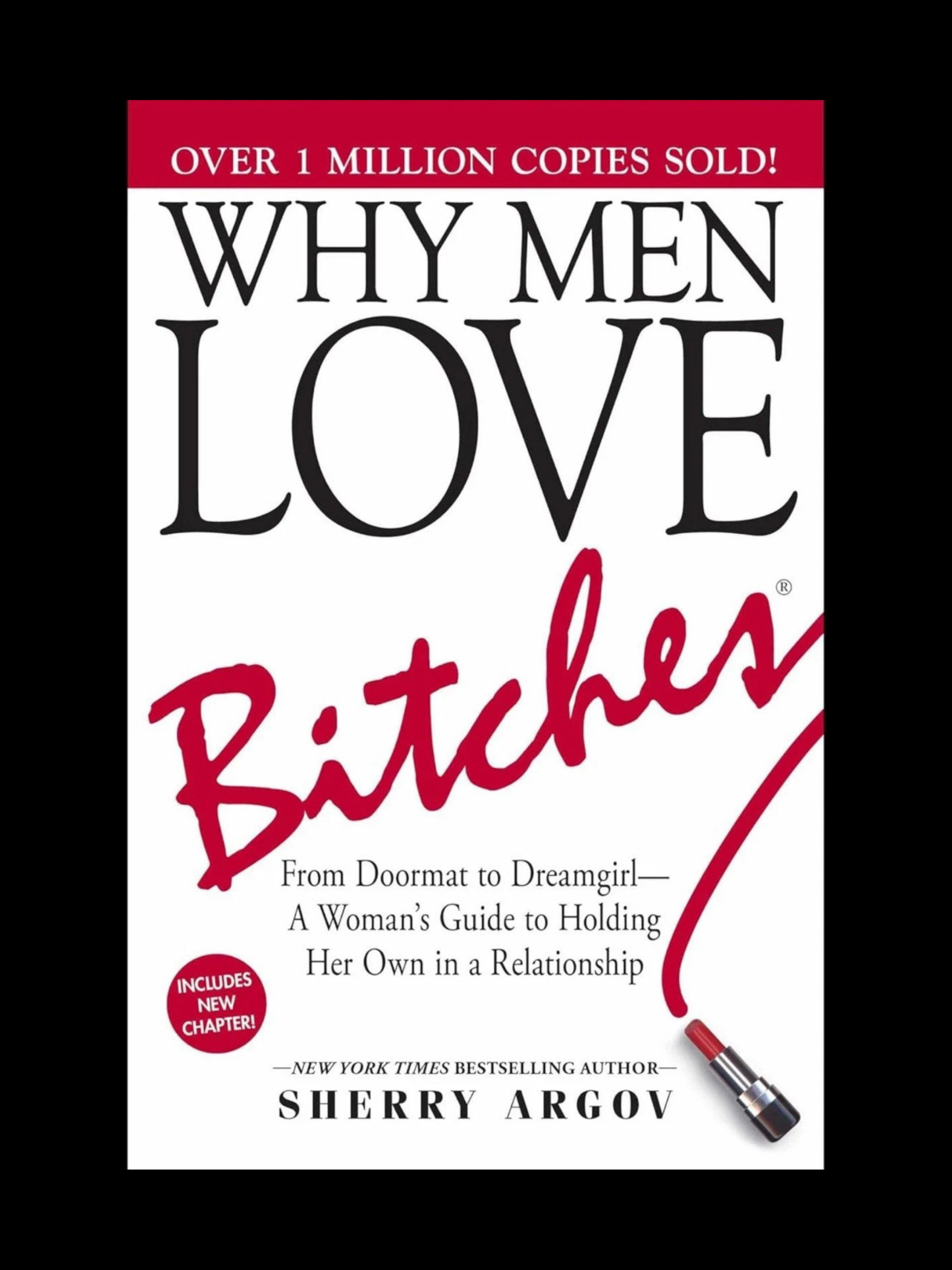 Why Men Love Bitches book cover relationship guide