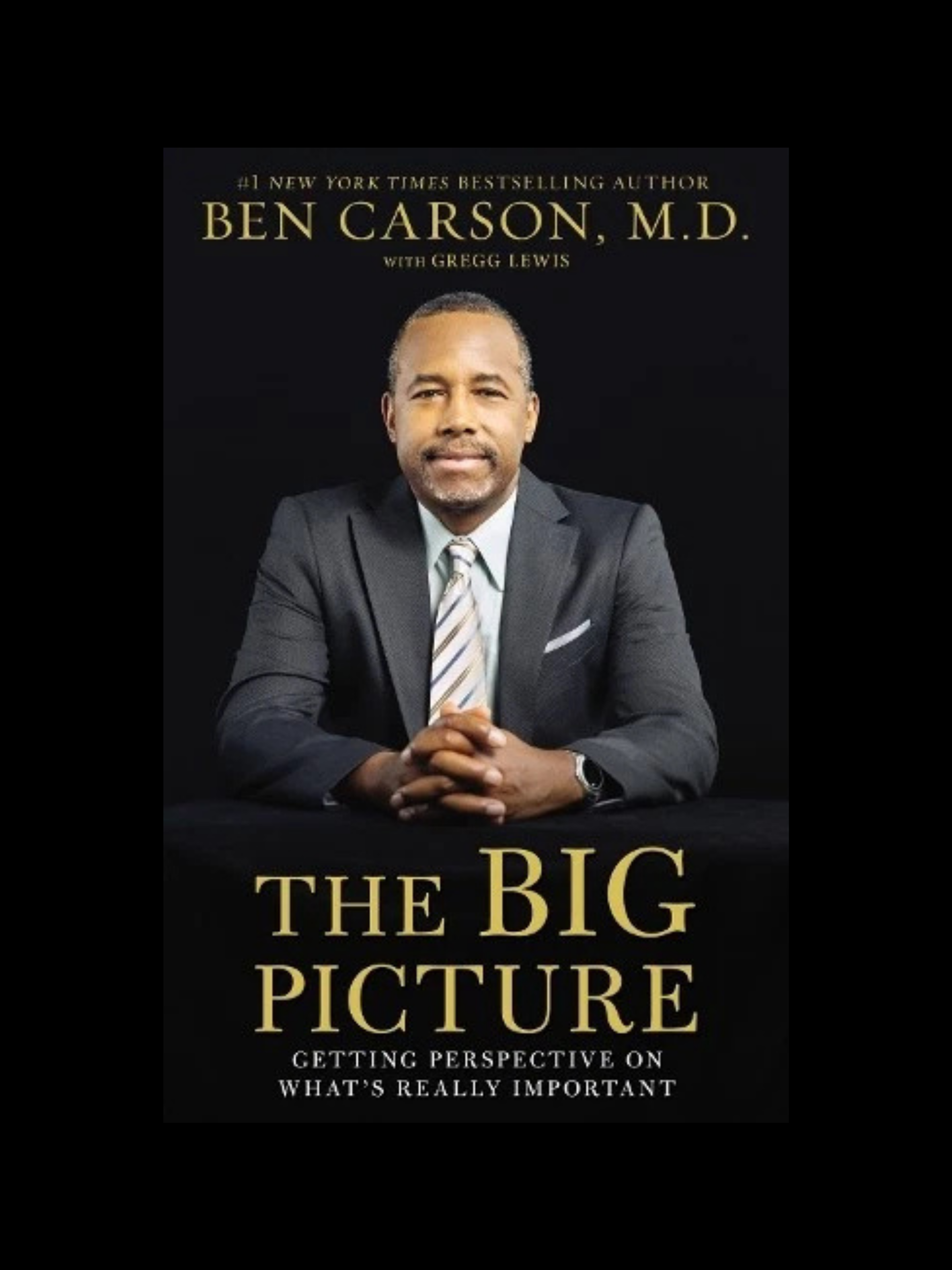 The Big Picture book cover for kids and teenagers