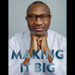 Making It Big By Femi Otedola entrepreneurship and wealth guide